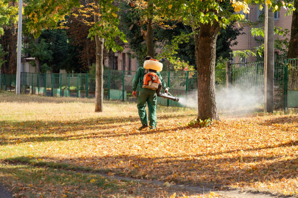 Best Residential Pest Control  in Nixon, PA
