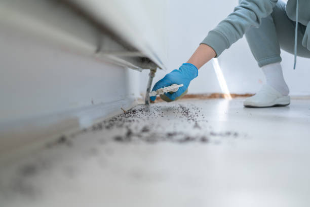 Best Exterminator Services  in Nixon, PA
